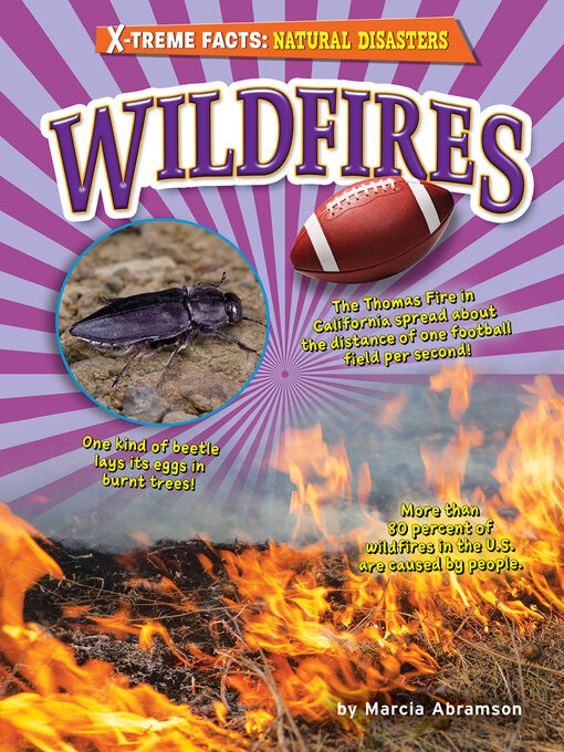 Title details for Wildfires by Marcia Abramson - Available